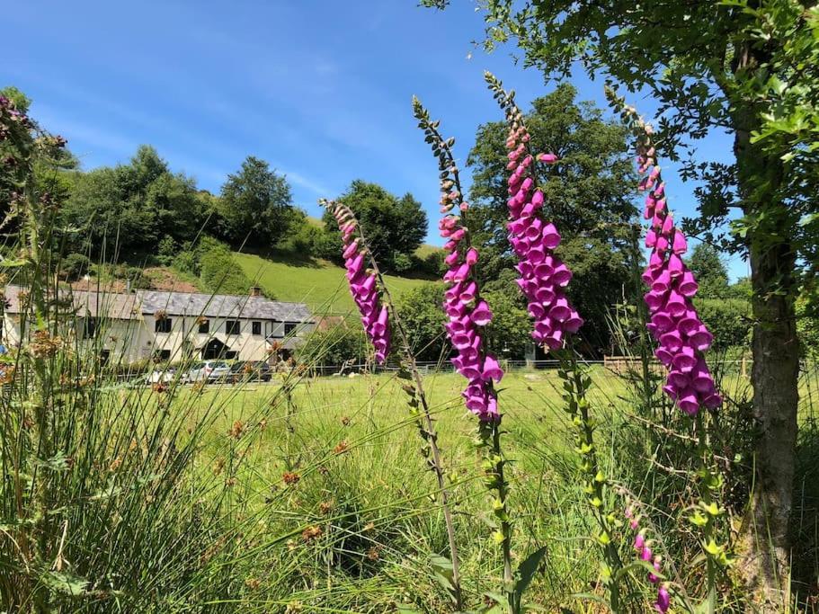 Luxury Exmoor Barn Conversion With Sauna Exford Eksteriør bilde