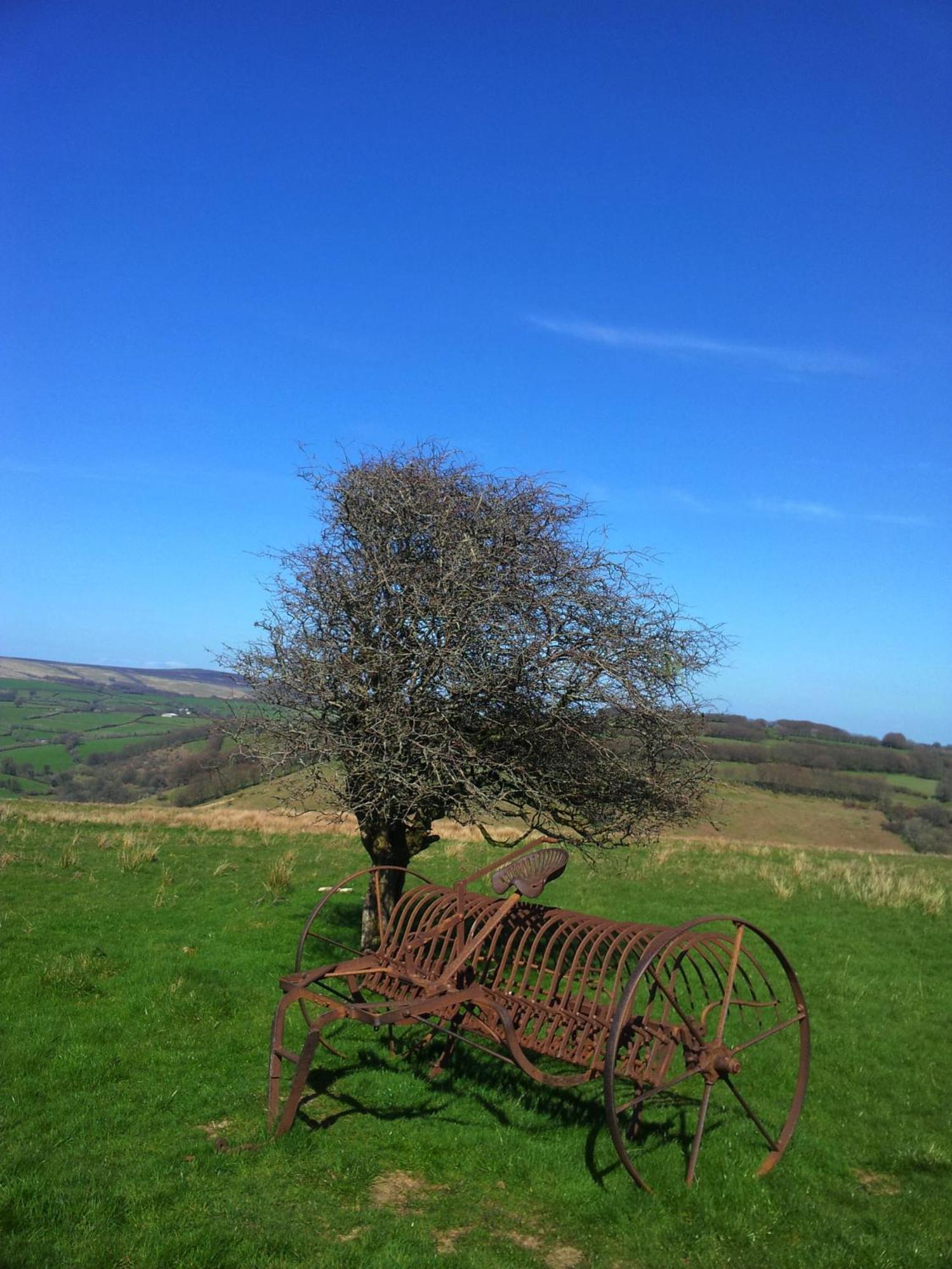 Luxury Exmoor Barn Conversion With Sauna Exford Eksteriør bilde